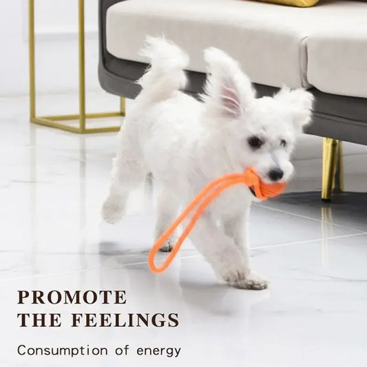 Interactive Cotton Rope Ball Toy for Fetch & Tug Play