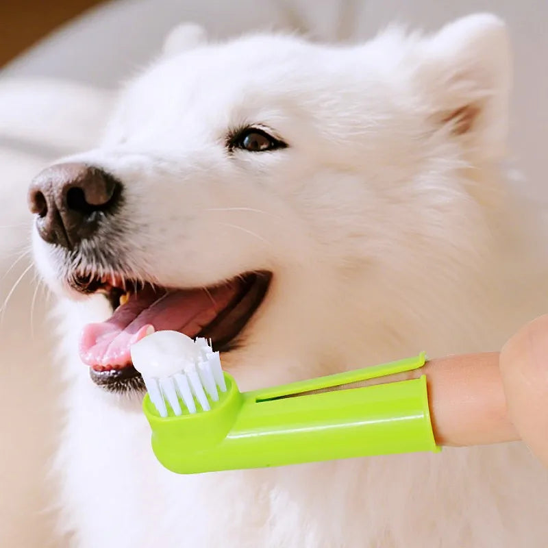 Dog & Cat Oral Care Toothbrush Kit with Finger Brush