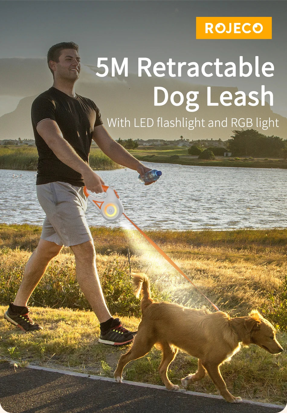 LED Retractable Dog Leash