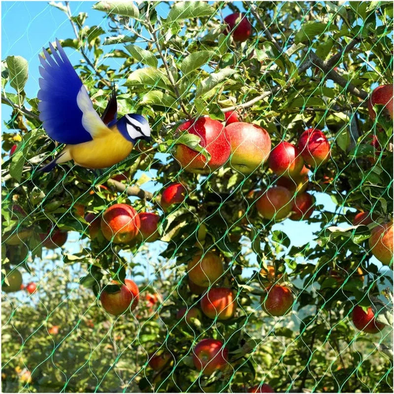 Garden Anti-Bird Netting Mesh for Fruit Trees, Vegetables, Crops & Ponds