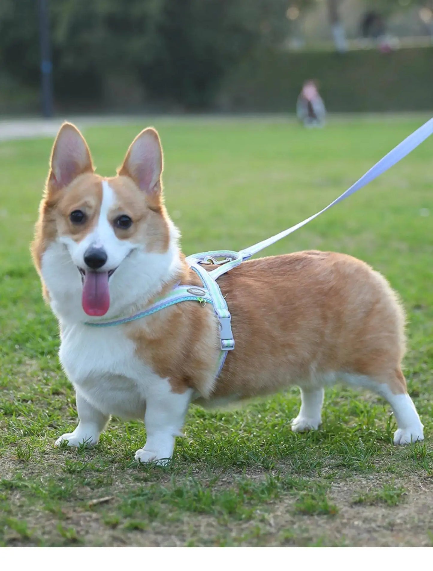 Colorful No-Pull Adjustable Dog Harness