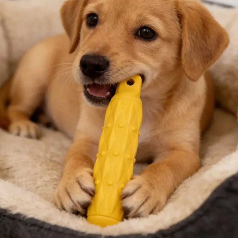 EVA Dog Chew Stick