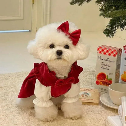 Winter Bow Knot Dog Dress