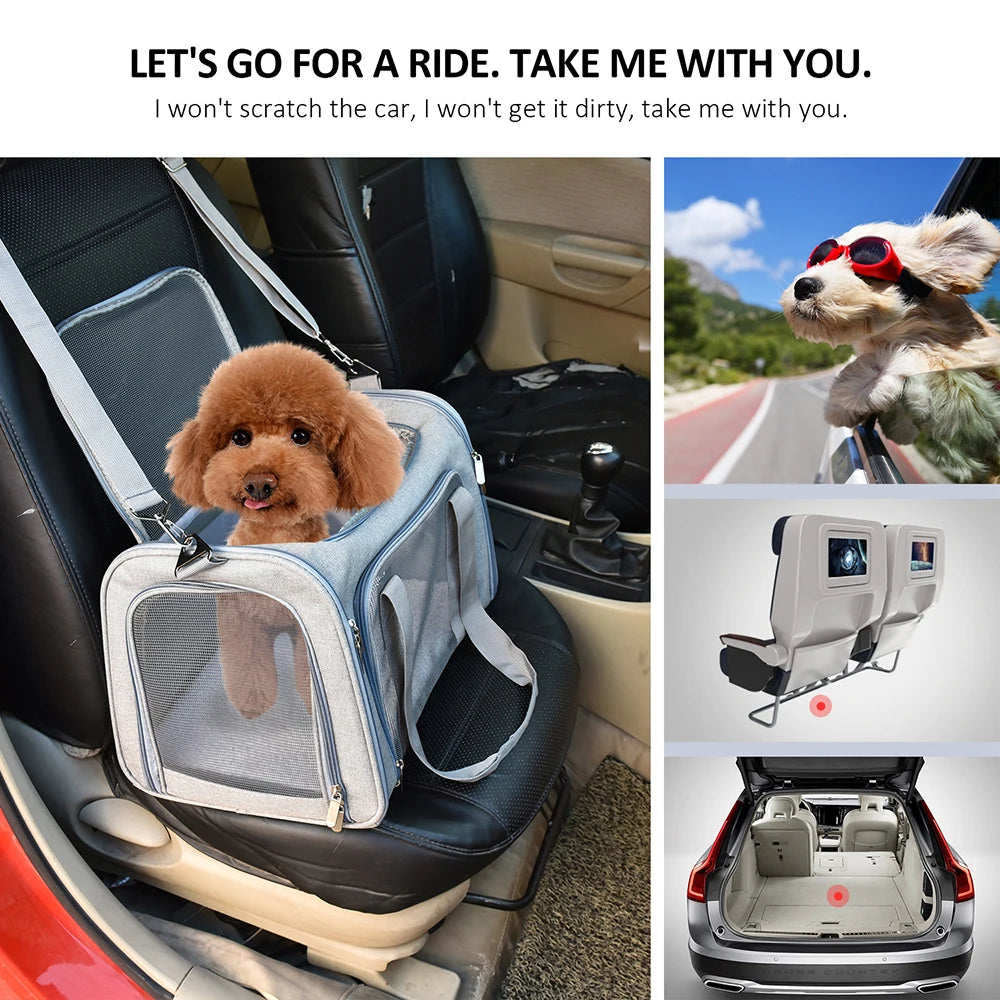 Airline Approved Soft-Sided Pet Carrier Bag for Small Dogs & Cats