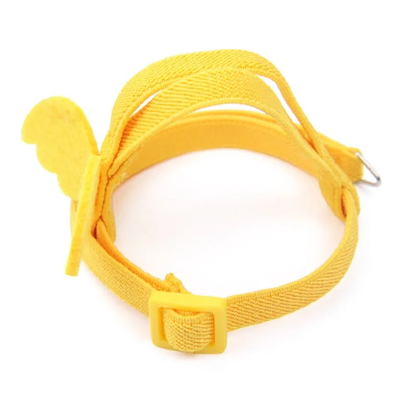 Parrot Training Harness & Anti-Bite Leash Set