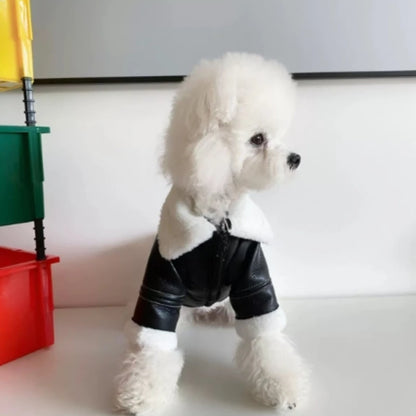 Winter Leather Dog Jacket Coat
