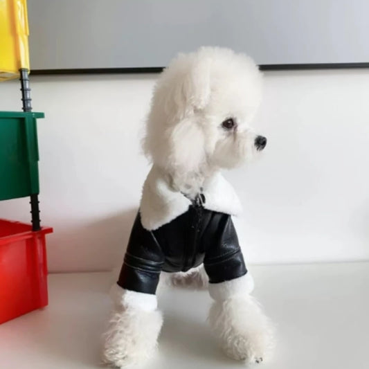 Winter Leather Dog Jacket Coat