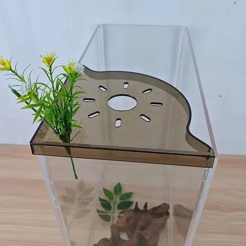 Aquarium Corner Storage Shelf for Plants & Accessories