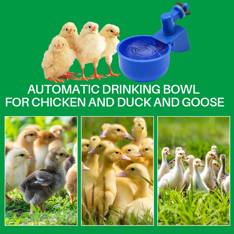 Automatic Chicken Water Cups Set