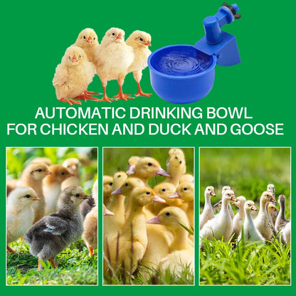 Automatic Chicken Water Cups Set