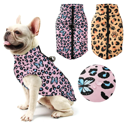 Leopard Dog Jacket