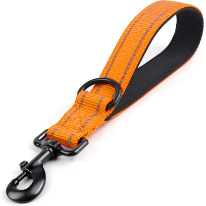 5M Nylon Leashes for Large Dog