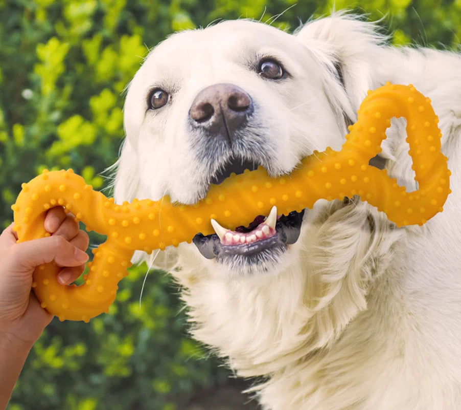 TPR Dog Chew Stick Bone Toy