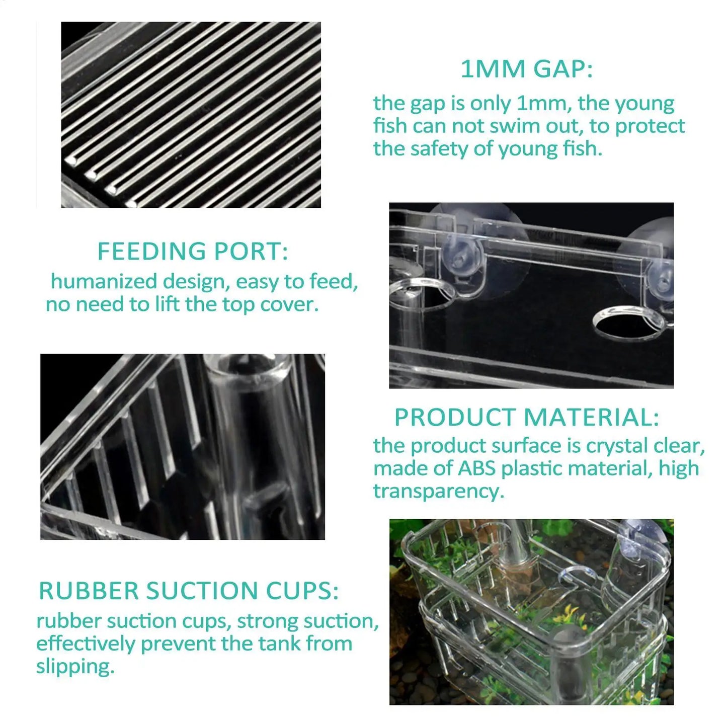 Acrylic Fish Breeding & Isolation Box for Aquariums
