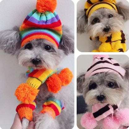 Winter Dog Accessories Set