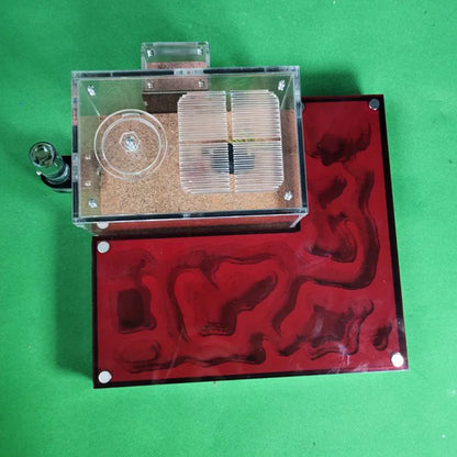 Large Acrylic Ant Farm with Gypsum Nest & Observation Arena