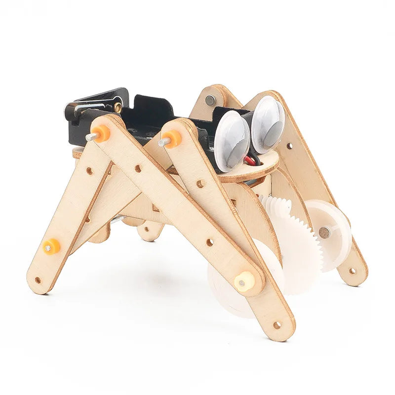 DIY Science Toys