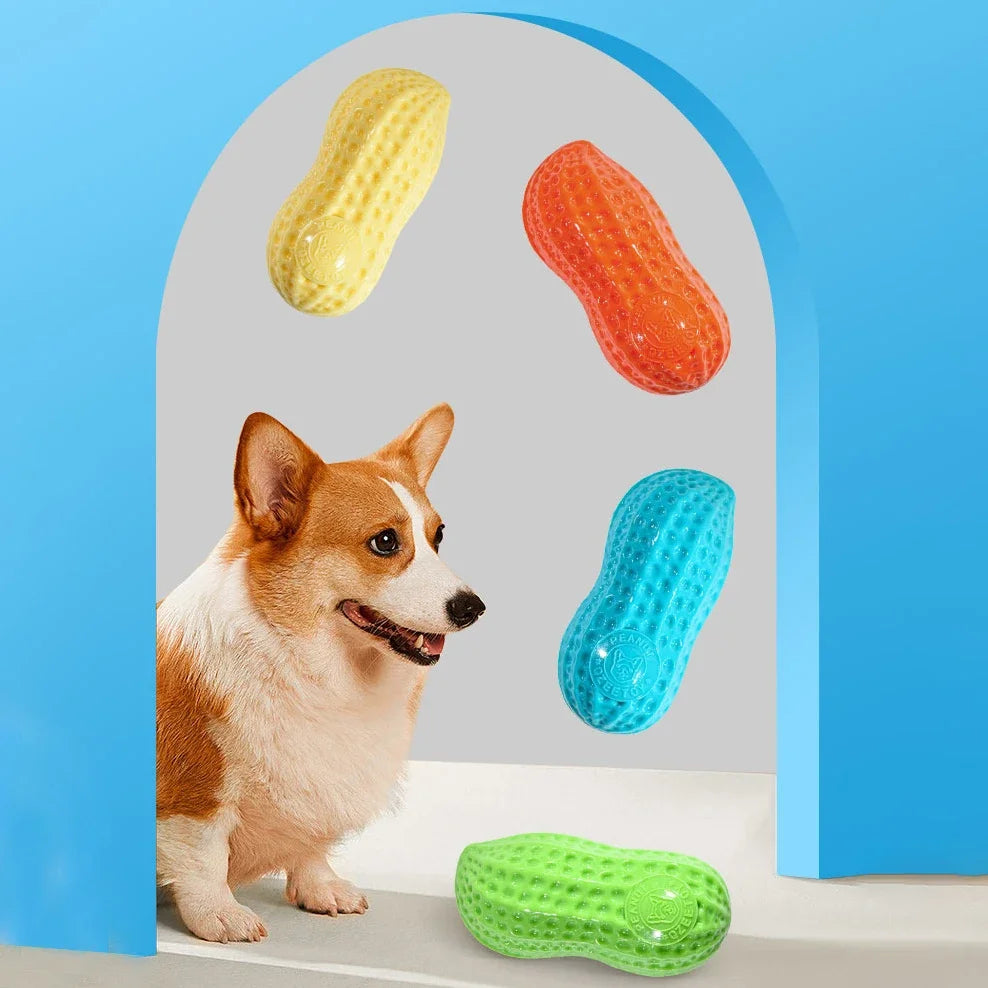 Peanut Squeaky Dog Chew Toy