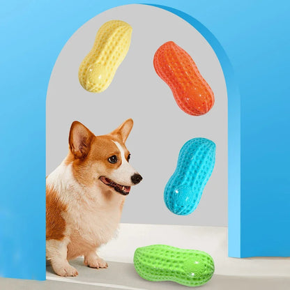 Peanut Squeaky Dog Chew Toy
