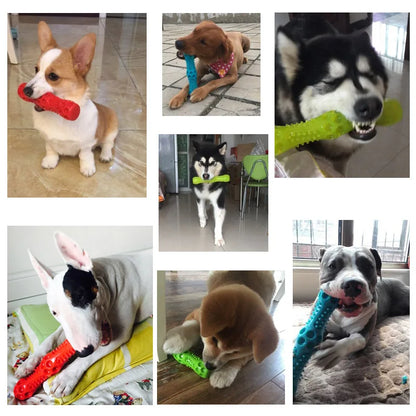 Caitec Squeaky Spring Dog Stick Toy