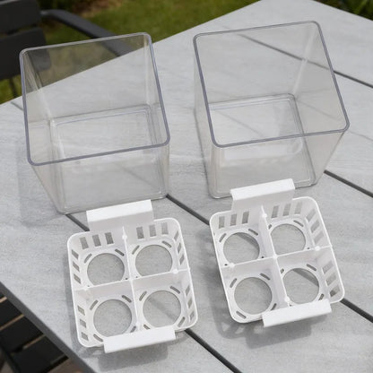 Clear Hydroponic Tulip Growing Kit with 4-Bulb Basket
