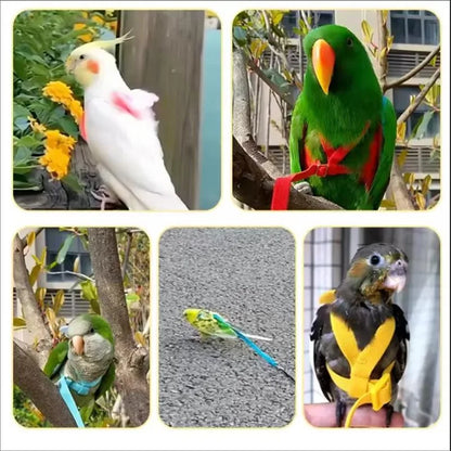 Parrot Training Harness & Anti-Bite Leash Set