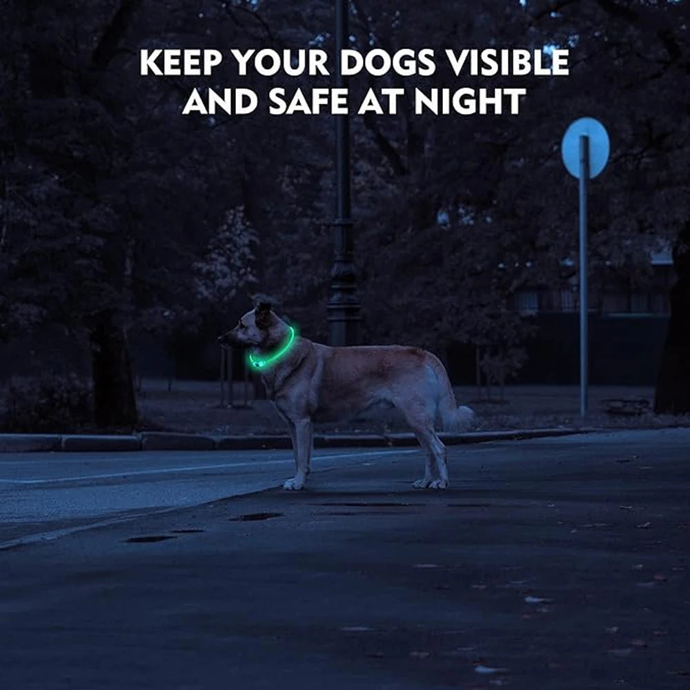 USB Rechargeable LED Dog Collar