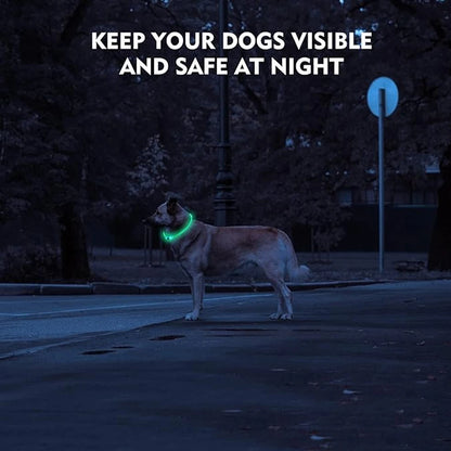 USB Rechargeable LED Dog Collar