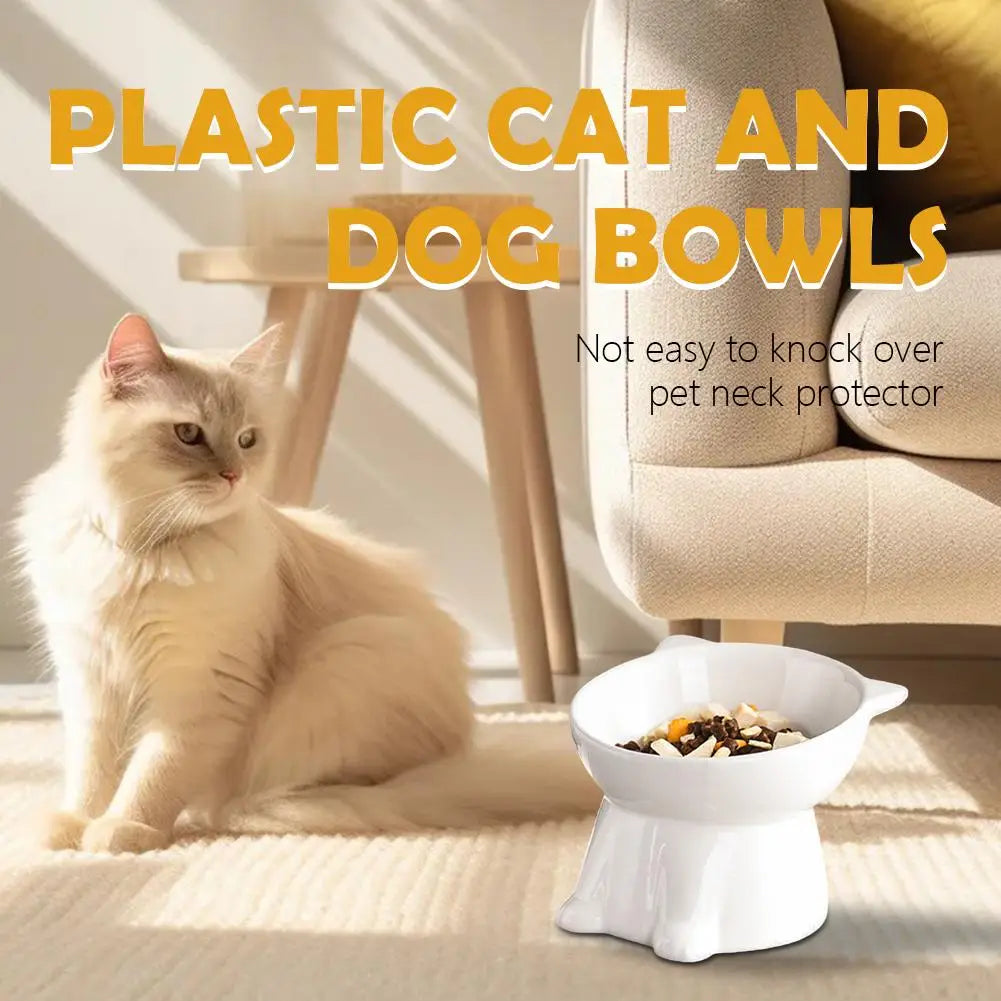 Elevated Cat Bowl with Non-Slip Base