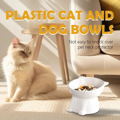 Elevated Cat Bowl with Non-Slip Base