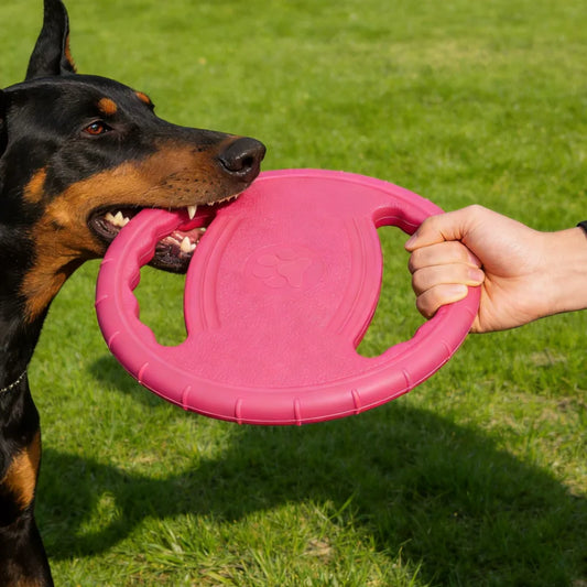 EVA Dog Flying Disc Fetch Toy