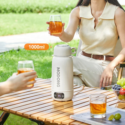 Home & Car Portable Electric Kettle 1.0L 220V