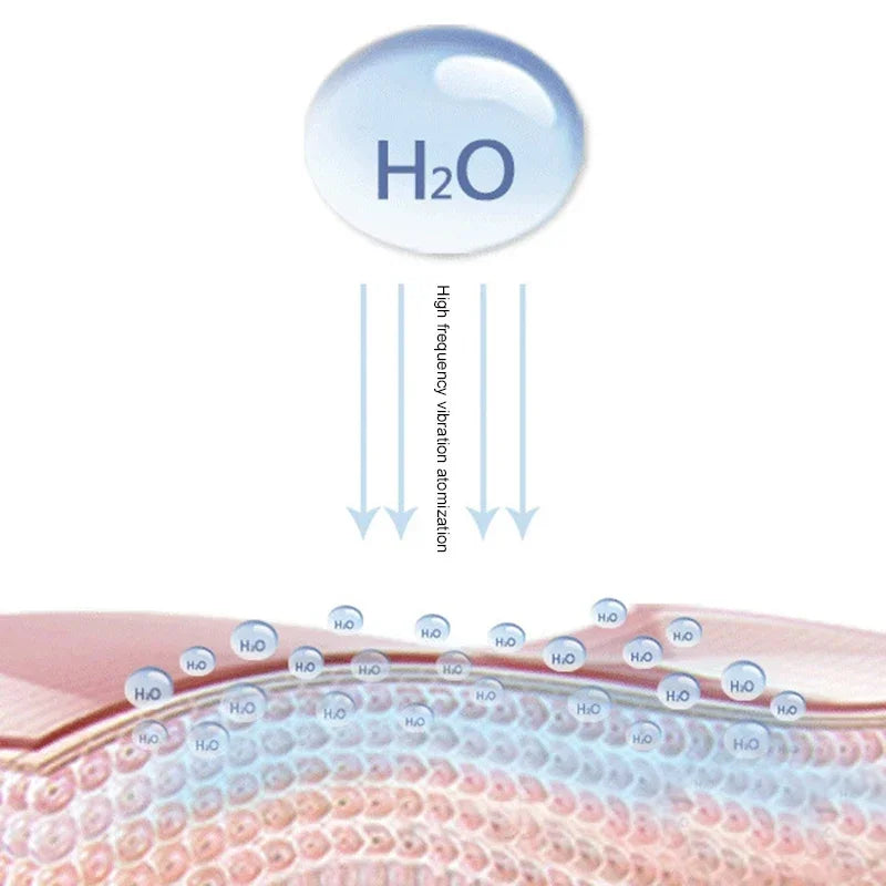 Portable Nano Mist Facial Steamer