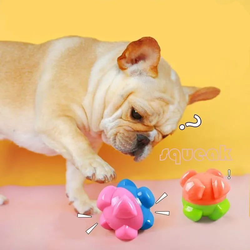 Interactive Rubber Squeaky Dog Toy