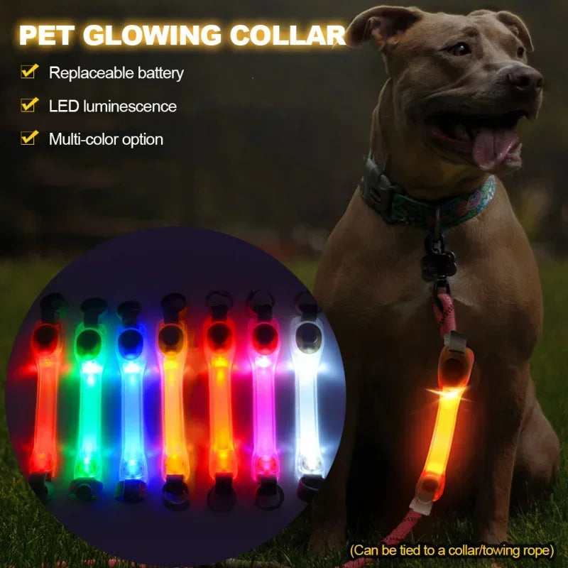LED Safety Glowing Pet Light Strip