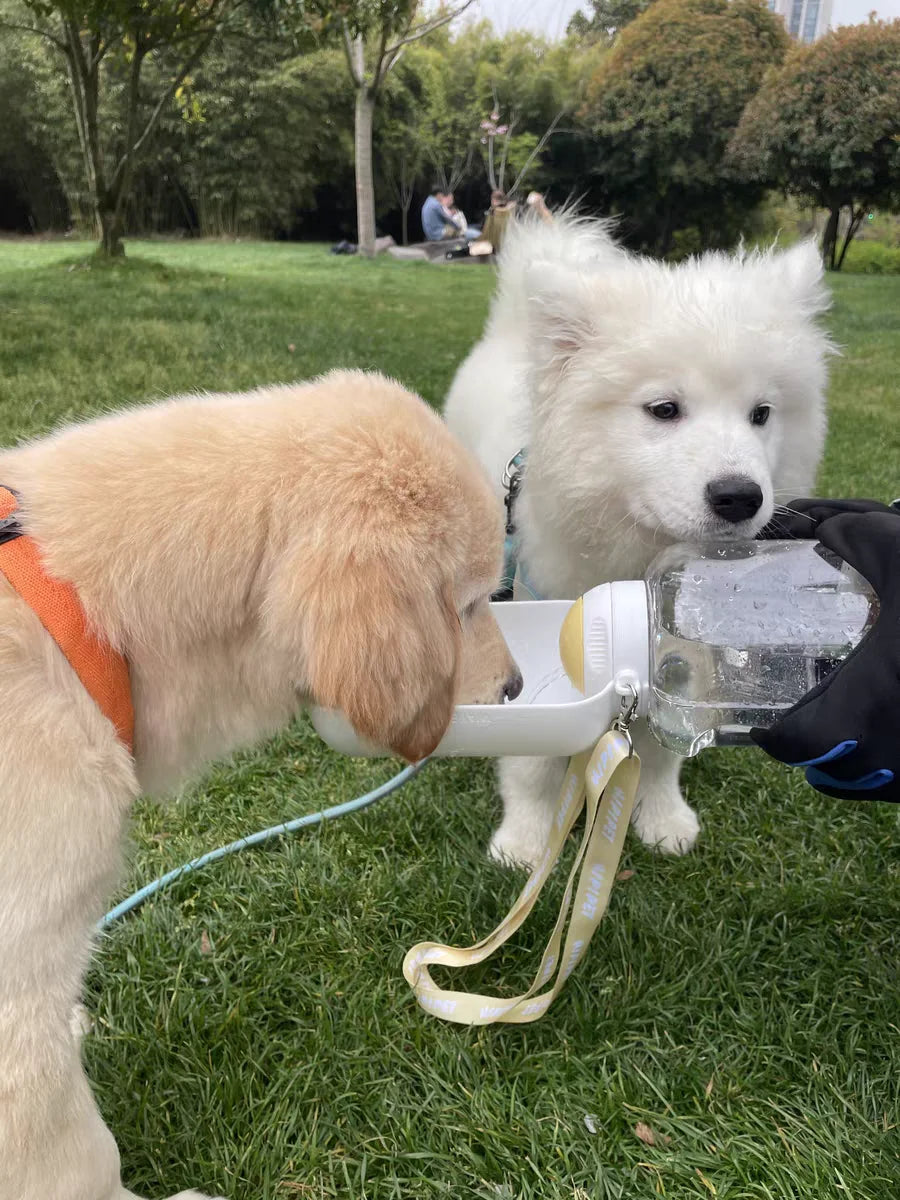 2-in-1 Portable Dog Water Bottle & Food Container
