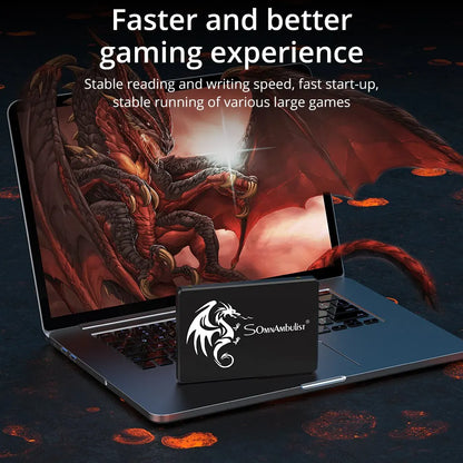 Internal Solid State Drive for PC & Laptop