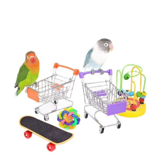 Interactive Bird Training Toy Set