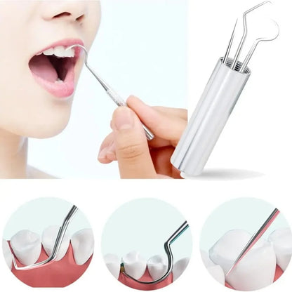 Reusable Stainless Steel Toothpick Set with Portable Storage Case