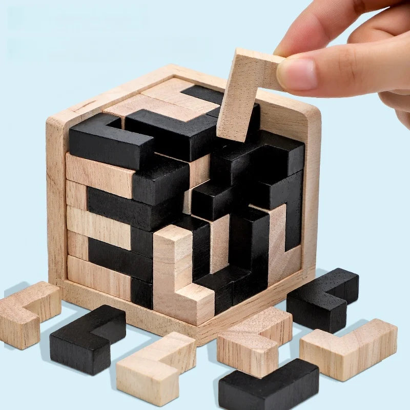 Impossible Wooden IQ Puzzle Game