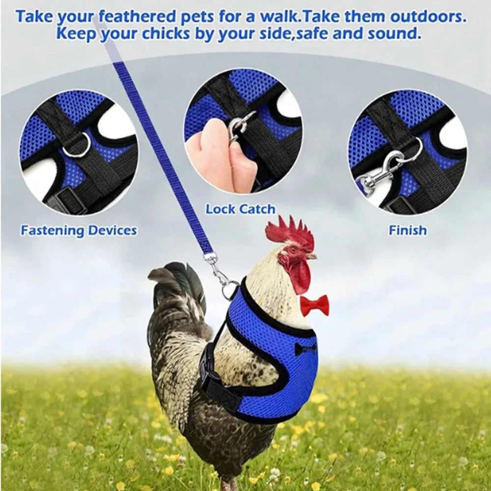 Adjustable Poultry Harness & Leash Set