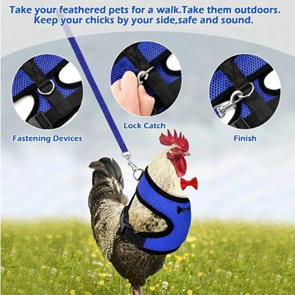 Adjustable Poultry Harness & Leash Set