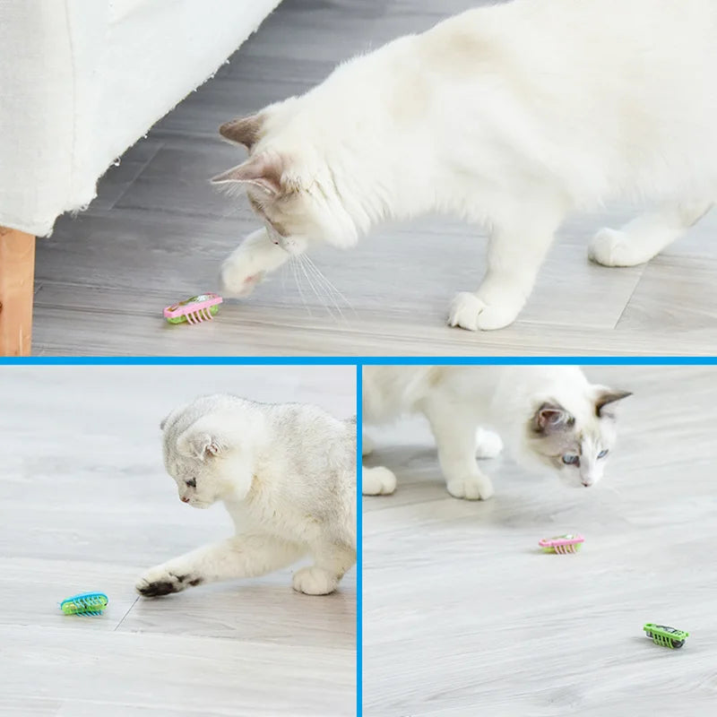 Electric Bug Cat Toy – Automatic Crawling Insect Interactive Toy