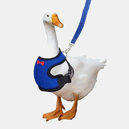 Adjustable Poultry Harness & Leash Set