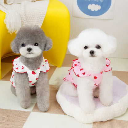 Strawberry Print Summer Dog Dress with Bow