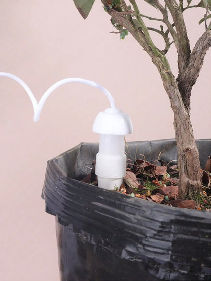 Ceramic Watering Spikes Set