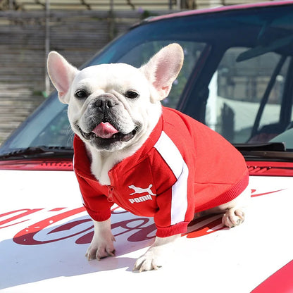 Baseball Dog Jacket – Winter Pet Hoodie for Small Dogs