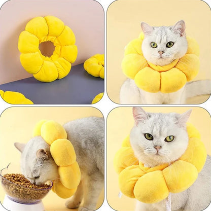 Sunflower Recovery Collar for Cats & Small Dogs