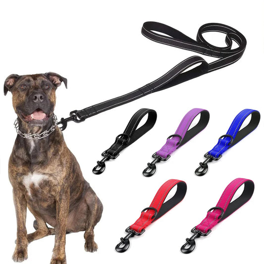 5M Nylon Leashes for Large Dog