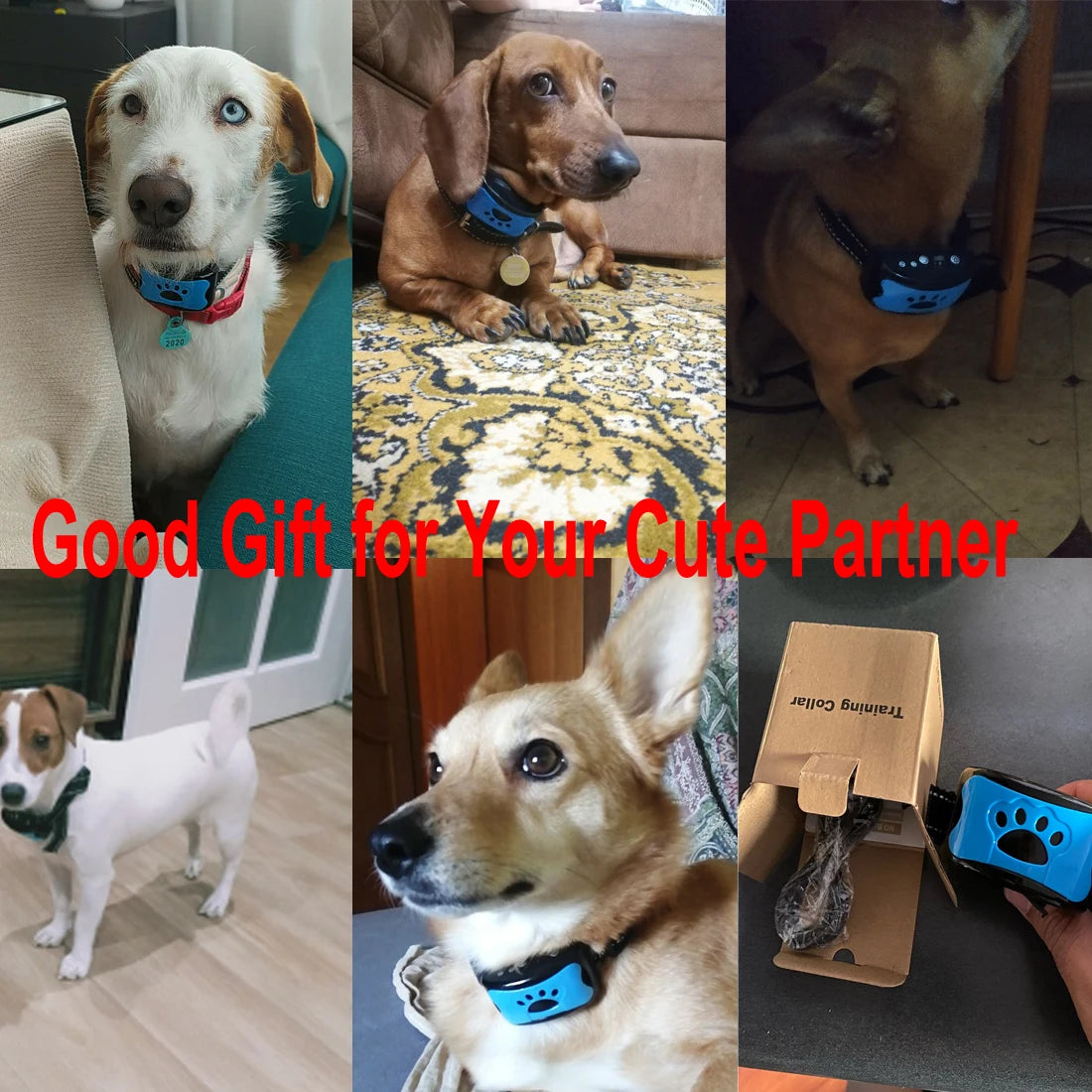 USB Rechargeable Anti Barking Dog Training Collar